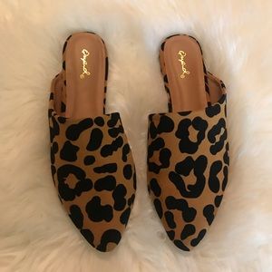 Leopard Mules 🌸